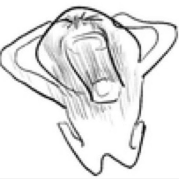 Meet your Posher, Margarita - Picture 1 of 1